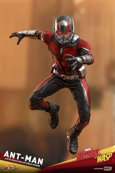 Hot Toys Th Scale Ant Man Collectible Figure Ant Man And The Wasp Rio X Teir