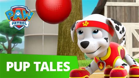 Paw Patrol All Star Pups Rescue Episode Paw Patrol Official