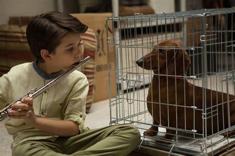 wiener dog  cast crew synopsis   info