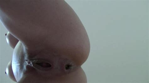 Under Her Ass Thisvid