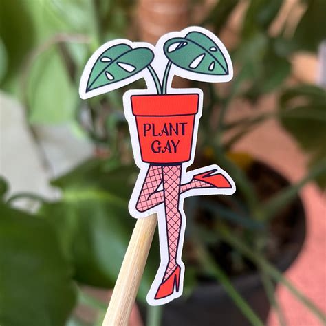 Plant Gay Waterproof Lgbtq Pride Sticker Decal Pride Etsy