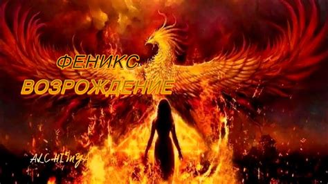 ФЕНИКС - твое возрождение - YouTube