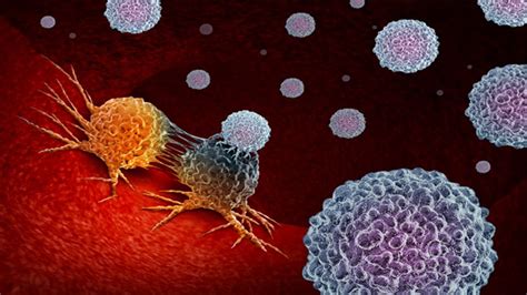 Strengthening CAR T Cell Cancer Treatment | Technology Networks