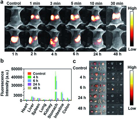 Nir Ii Fluorescence Imaging Of Digestive Tract A The Nir Ii