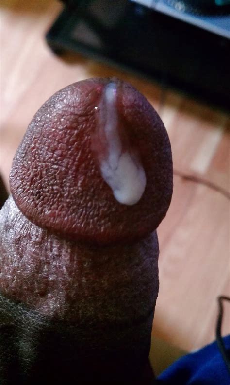 Dick Xxx Porn Album