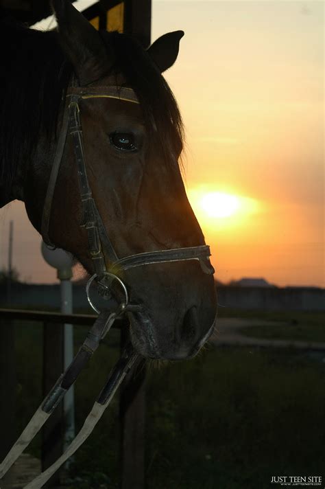 Katerina Elena Nude Photo Album Snare X X Intporn Forums