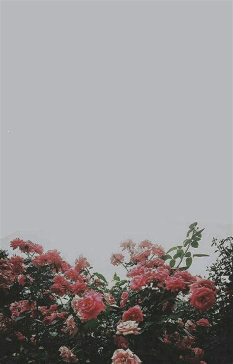 Wattpad Hd Phone Wallpaper Pxfuel