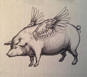 Успех фэн-шуй: Огненная Свинья: 1947 год, 2007 год, характеристика ...