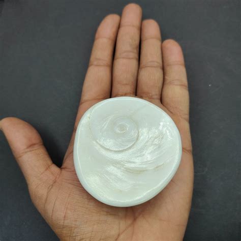 Shell White Raja Gomati Chakra Big Size For Healing At Rs Piece In