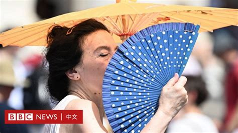 气候变化7月将成为全球有记录以来最热月份 BBC News 中文