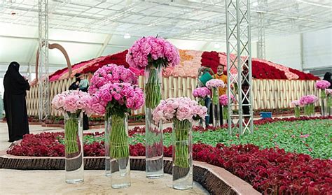 The Third Edition Of The Taif Rose Festival Blooms Across Saudi Scoop