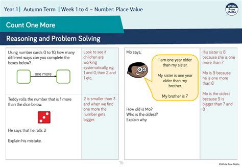 Count One More Reasoning And Problem Solving Maths Year 1