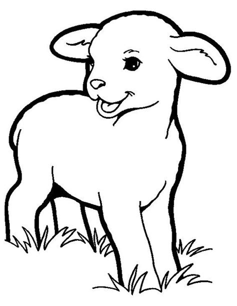 Printable Lamb Coloring Pages