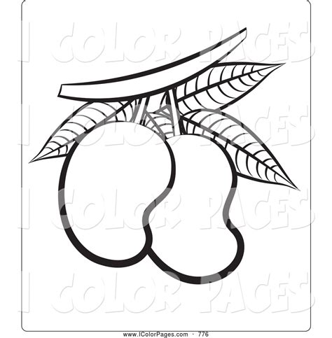 Mango Clipart Outline 10 Free Cliparts Download Images On Clipground 2025