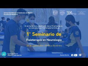 Beneficios De La Fisioterapia Neurologica Para Personas Con Trastornos