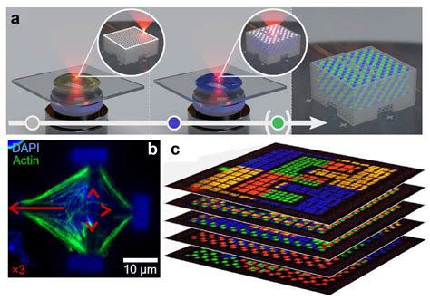 Multi Material Multi Photon 3d Laser Micro And Nanoprinting