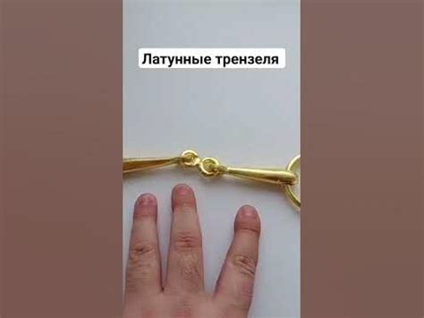 Латунные нержавеющие трензеля (удила) для лошади. Купить по ссылке в ...