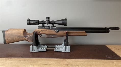 Reximex Daystar Luftgewehr - Mein Test und Review! - AirGhandi