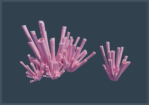 ArtStation - Ocean Coral and Creatures Mega Pack | Game Assets