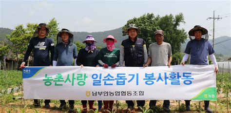 남부안농협 코로나19 인력부족 농촌일손돕기 나서 부안인터넷신문