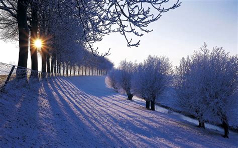 Winter in Nederland (Winter in the Netherlands) « Awesome Wallpapers