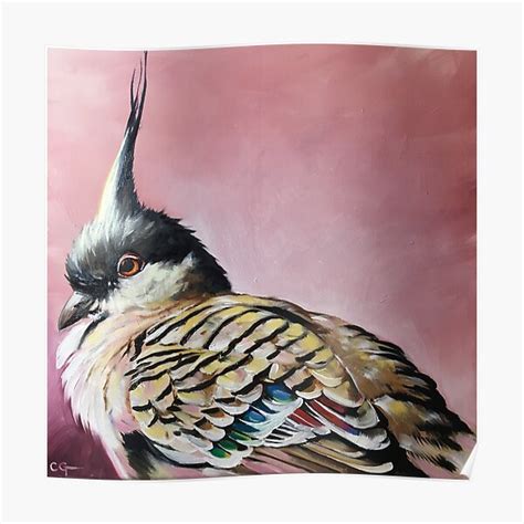 Drawing Red Whiskered Bulbul Painting Poster For Sale By Anrissis
