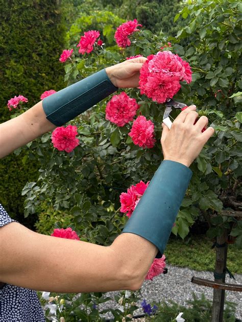 garden sleeves