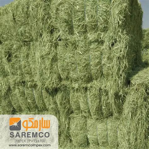 Premium A Grade Quality Rhodes Grass Hay Bales Animal Feed Rhodes