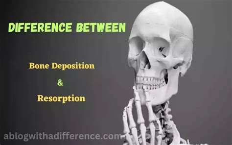 Bone Deposition and Resorption 10 amazing difference