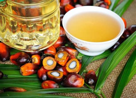 Пальмовое масло – польза и вред для здоровья