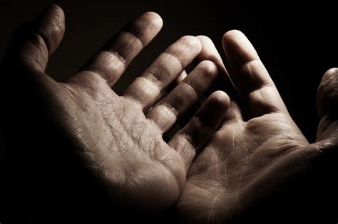 hands  navigators   zealand