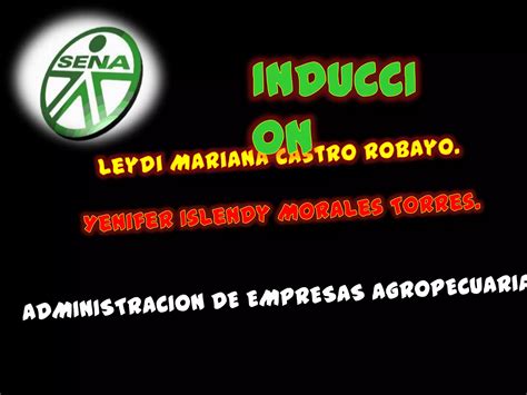 Mision Vision Ppt