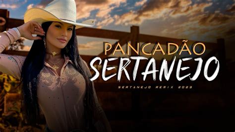 MEGA PANCADÃO SERTANEJO PLAYLIST SERTANEJO REMIX 2023 AS MAIS