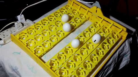 48 Eggs Turner Assembling For Incubator Egg Turner YouTube