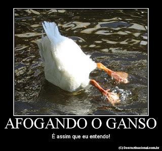O Que Significa Afogar O Ganso - Blog do Malino: Afogar o ganso