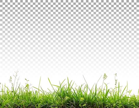 page  open grass psd high quality  psd templates