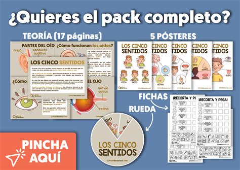 Monografia De Los 5 Sentidos Para Imprimir 2