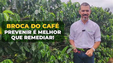 BROCA DO CAFÉ SEMPRE É MELHOR PREVENIR QUE REMEDIAR YouTube