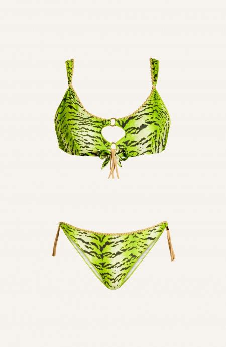 Bikini Brassiere Slip Fiocchi Stampa Tigre Ricamo Punto Cavallo