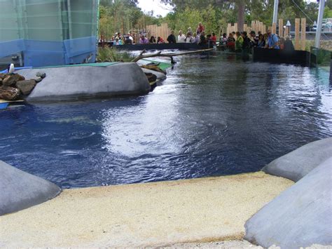 Penguin Exhibit Wild Sea January 2010 Zoochat