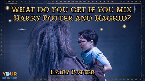 75 Harry Potter Puns Worthy of a Hogwarts Education