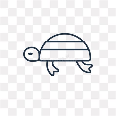 Icono Del Vector De La Tortuga Aislado En El Fondo Transparente Tu