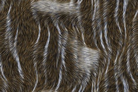 furry photo   stock photo public domain pictures