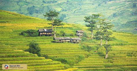 The Majestic Rice Terraces Of Banaue A Cultural And Natural Wonder Secret Philippines