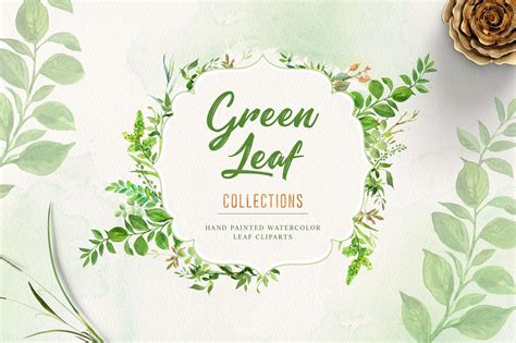 Watercolor Green Leaf Clip Art | Illustrations ~ Creative Market