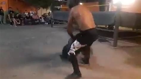 Una Luchadora Amateur Mexicana Sufri Convulsiones Por La Golpiza De Un Compa Ero Mientras La