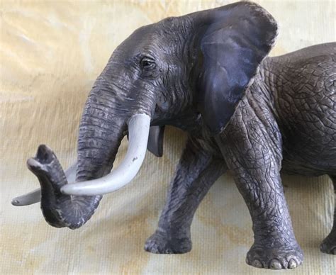 SCHLEICH ELEFANT Kaufen Auf Ricardo