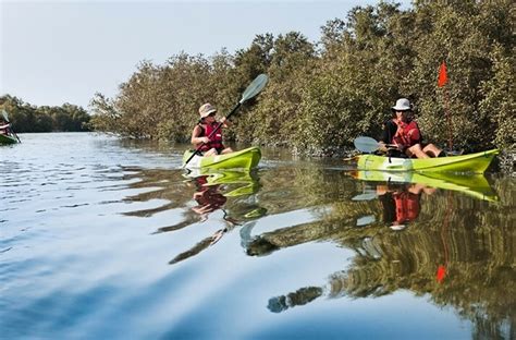 priceless™ | Tour Abu Dhabi's Eastern Mangrove National Park by kayak ...