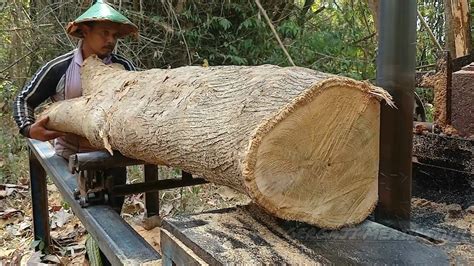 Pengergajian Kayu Jati Di Bawah Barongan Bambugergaji Bandsaw Rakitan