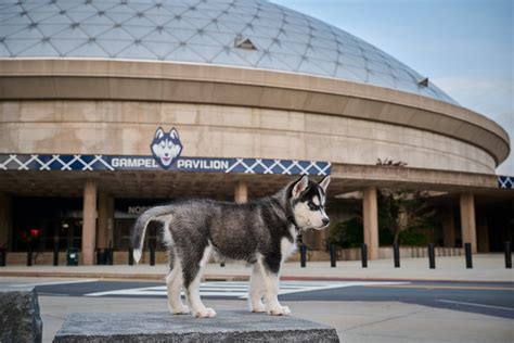 Uconn Huskies On Twitter Uconn Nation Join Us In Welcoming Jonathan